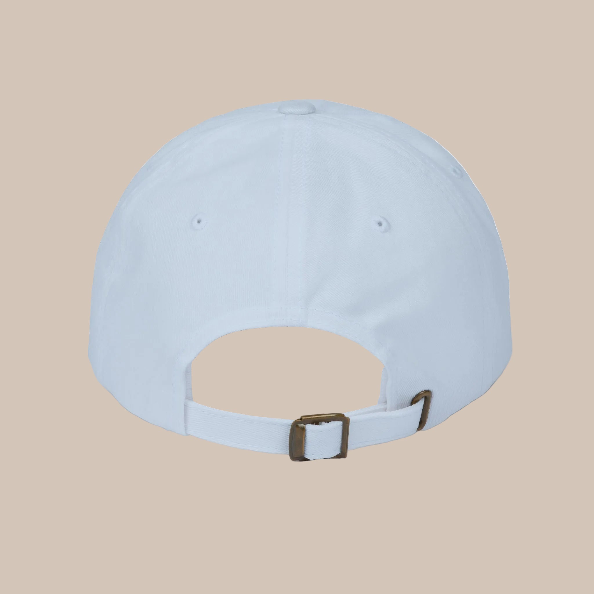 Gods Evidence Dad Cap
